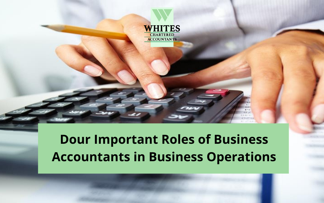 Dour Important Roles of Business Accountants in Business Operations