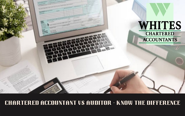 Chartered Accountant vs Auditor – Know the Difference