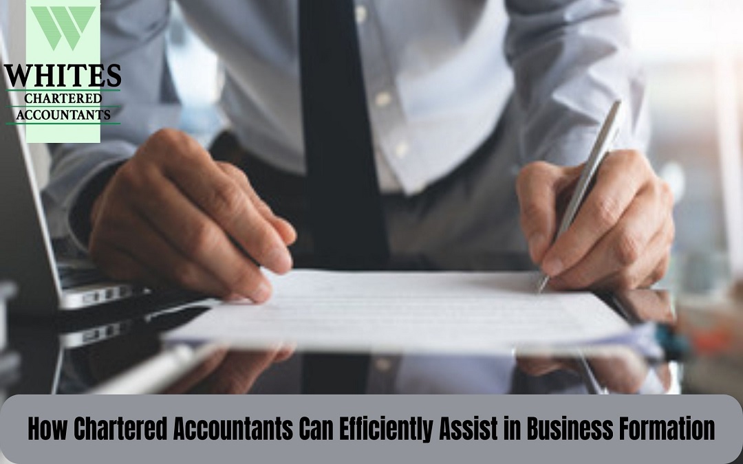 How Chartered Accountants Can Efficiently Assist in Business Formation