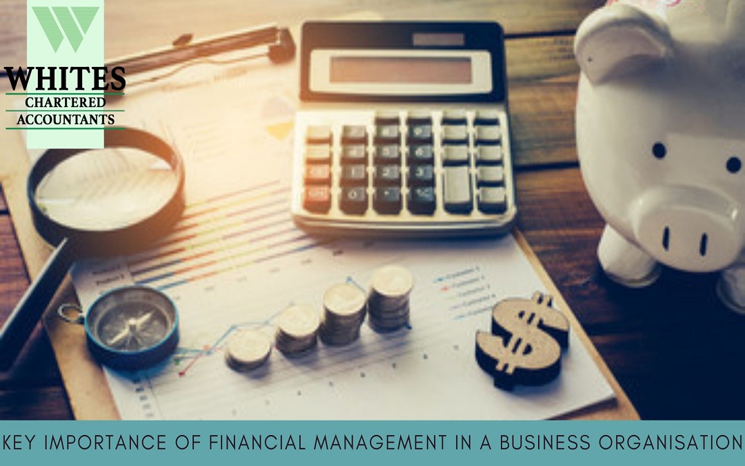 Key Importance of Financial Management in A Business Organisation